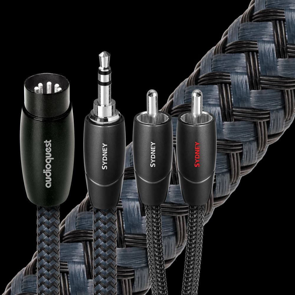 Sydney 5 Pin DIN to 2-Male RCA