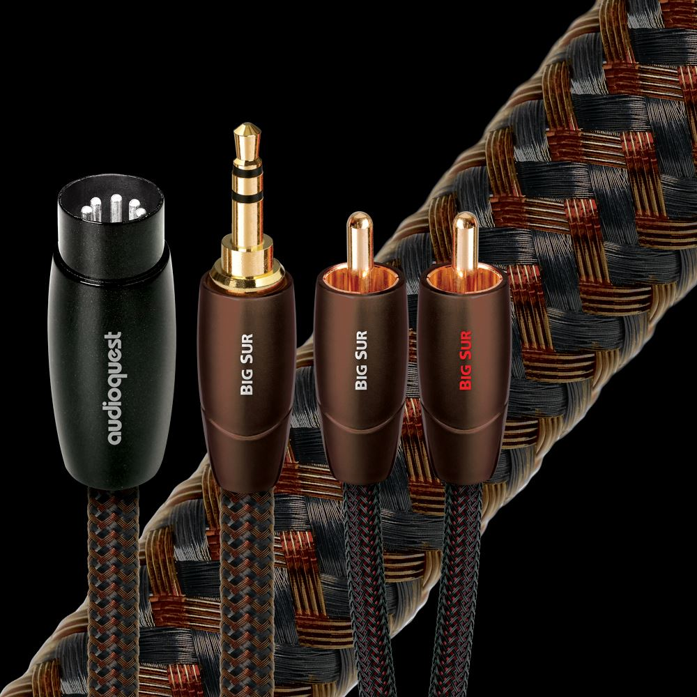 Big Sur 5 Pin DIN to 2-Male RCA